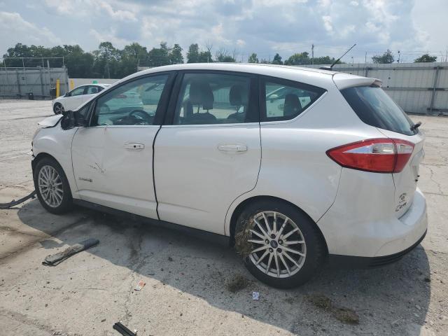 Photo 2 from auction – 2013 FORD C-MAX SEL with VIN 1FADP5BU4DL531772