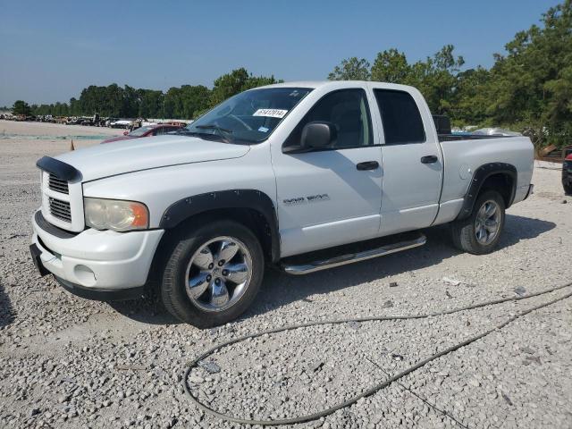 DODGE RAM 1500 S 2003 with VIN 1D7HA18Z03S120825 - Photo from auction