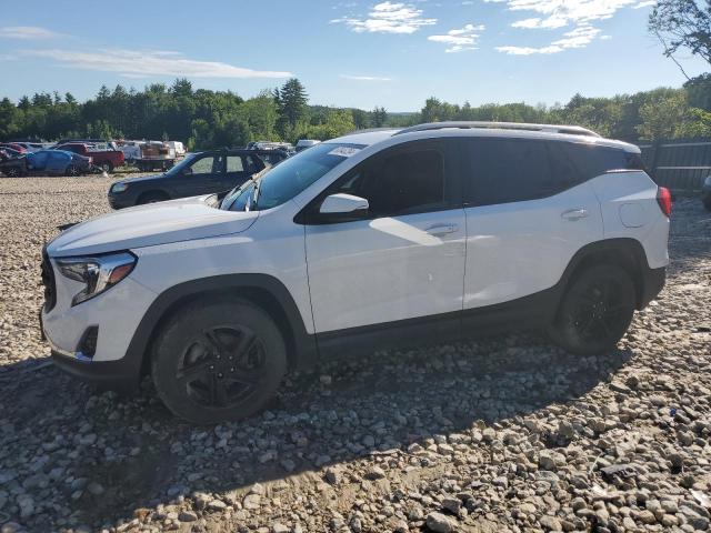 GMC TERRAIN SL 2020 with VIN 3GKALVEV9LL103815 - Photo from auction