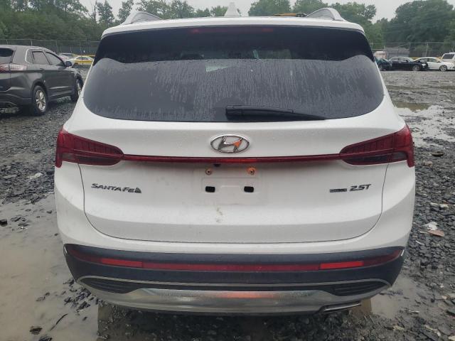 Photo 6 from auction – 2023 HYUNDAI SANTA FE L with VIN 5NMS4DAL2PH629993