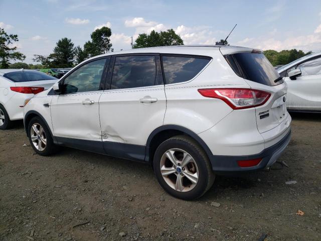 Photo 2 from auction – 2013 FORD ESCAPE SE with VIN 1FMCU0GX2DUB49475