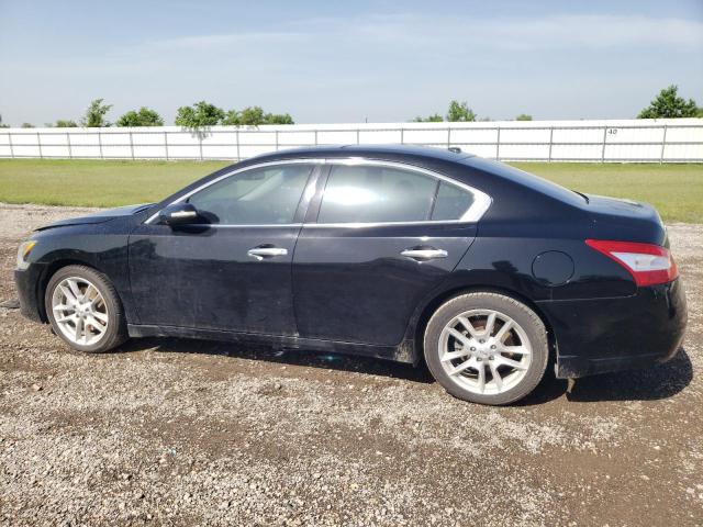 Photo 2 from auction – 2009 NISSAN MAXIMA S with VIN 1N4AA51EX9C855248