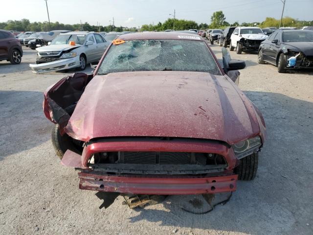 Photo 5 from auction – 2014 FORD MUSTANG with VIN 1ZVBP8AM4E5249364