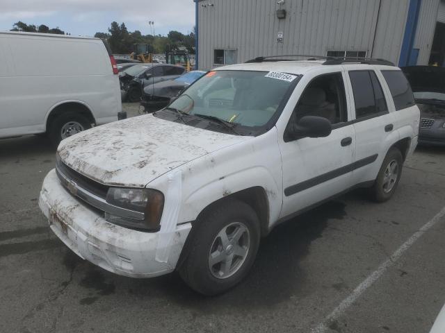 CHEVROLET TRAILBLAZE 2005 with VIN 1GNDT13S252290899 - Photo from auction