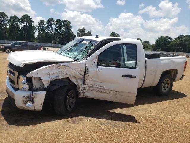 CHEVROLET SILVERADO 2008 with VIN 1GCEC19C58Z331356 - Photo from auction