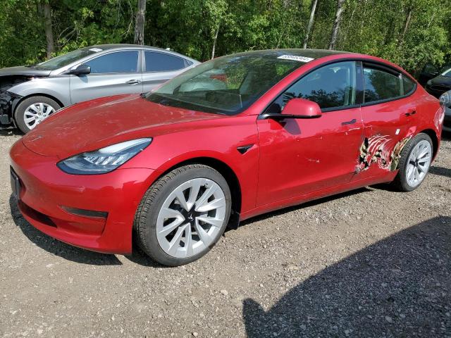 TESLA MODEL 3 2021 with VIN 5YJ3E1EA0MF861174 - Photo from auction