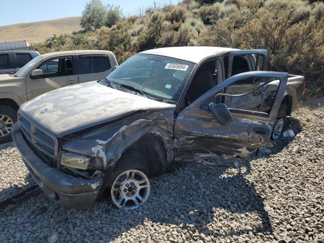 DODGE DAKOTA QUA 2002 with VIN 1B7HG38ZX2S711196 - Photo from auction