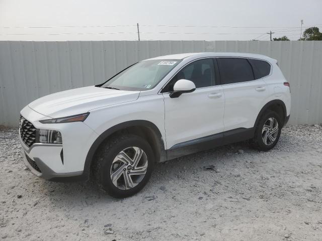 HYUNDAI SANTA FE S 2023 with VIN 5NMS1DAJ1PH566201 - Photo from auction