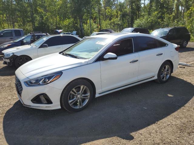 HYUNDAI SONATA LIM 2019 with VIN 5NPE34AF6KH790157 - Photo from auction