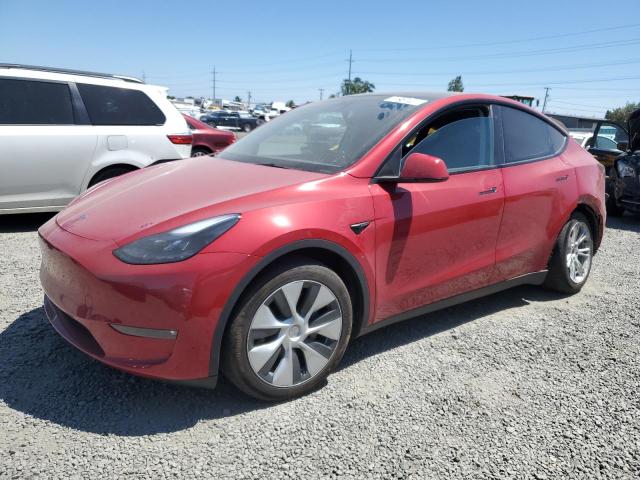 TESLA MODEL Y 2023 with VIN 7SAYGDEE6PF788131 - Photo from auction
