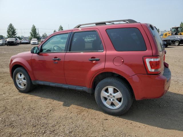 Photo 2 from auction – 2011 FORD ESCAPE XLT with VIN 1FMCU9D72BKB76399