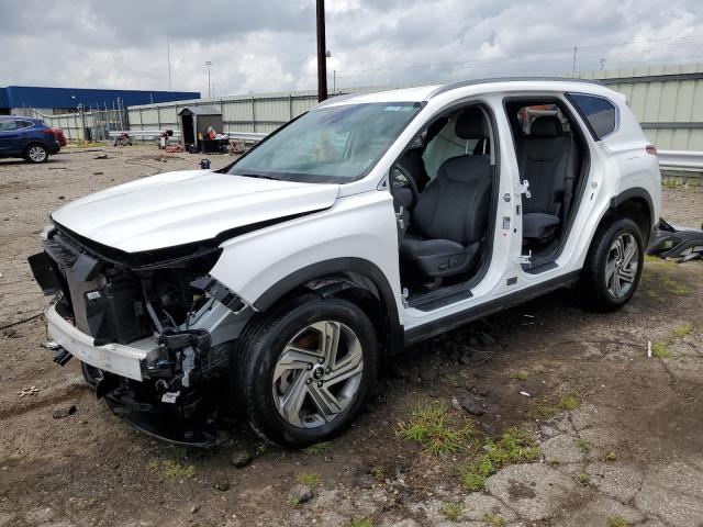 HYUNDAI SANTA FE S 2023 with VIN 5NMS2DAJ5PH528175 - Photo from auction