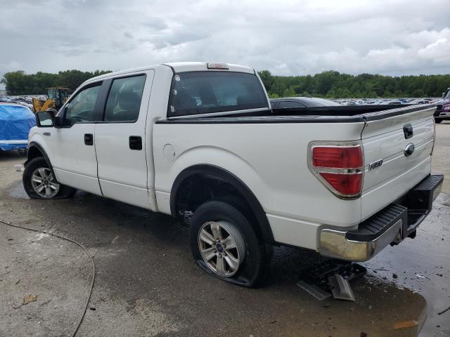 Photo 2 from auction – 2009 FORD F150 SUPER with VIN 1FTRW12819FB06319