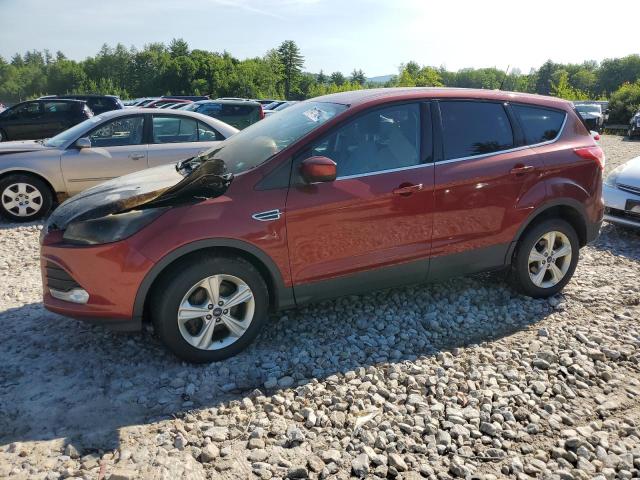 FORD ESCAPE SE 2014 with VIN 1FMCU0GXXEUB81477 - Photo from auction