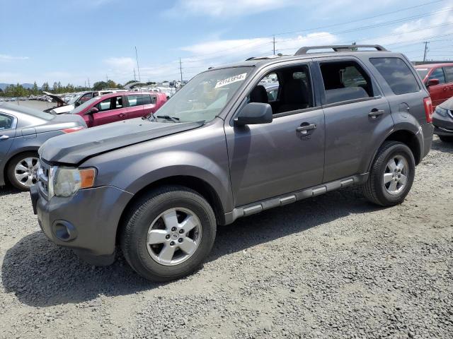 FORD ESCAPE XLT 2009 with VIN 1FMCU03G79KC19609 - Photo from auction