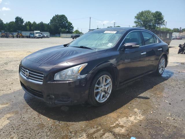 NISSAN MAXIMA S 2011 with VIN 1N4AA5AP9BC834043 - Photo from auction
