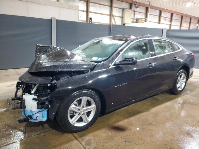 CHEVROLET MALIBU LT 2024 with VIN 1G1ZD5ST2RF204513 - Photo from auction
