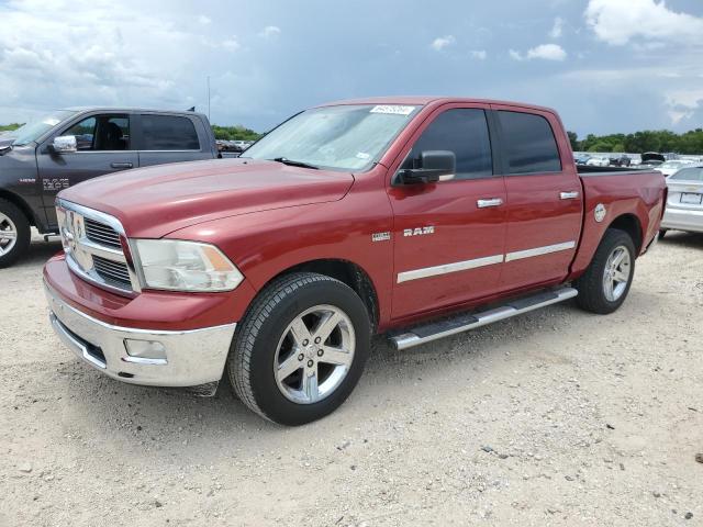 DODGE RAM 1500 2009 with VIN 1D3HB13T09S766988 - Photo from auction