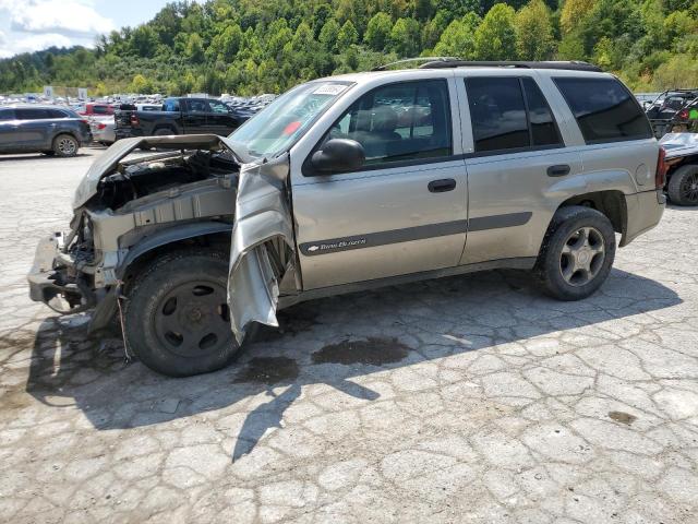 CHEVROLET TRAILBLAZE 2003 with VIN 1GNDT13S832174152 - Photo from auction
