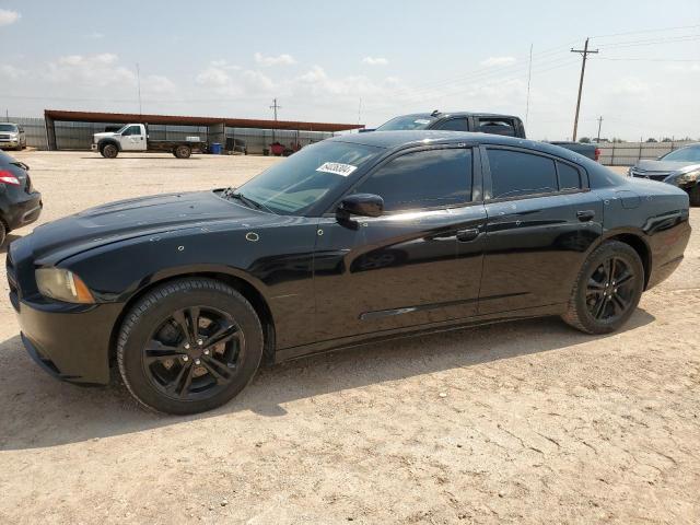 DODGE CHARGER R/ 2014 with VIN 2C3CDXDT8EH319958 - Photo from auction