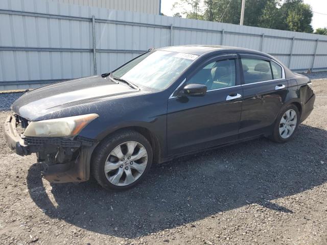 HONDA ACCORD EXL 2010 with VIN 1HGCP2F86AA023071 - Photo from auction