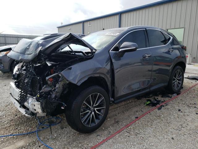 LEXUS NX 250 BAS 2024 with VIN 2T2ADCAZ2RC006291 - Photo from auction