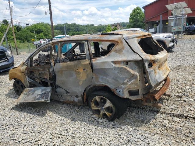 Photo 2 from auction – 2013 FORD ESCAPE SE with VIN 1FMCU9GXXDUA16483
