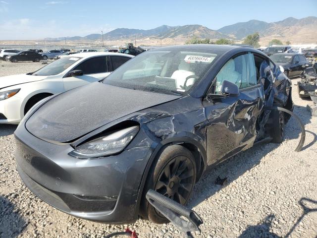 TESLA MODEL Y 2021 with VIN 5YJYGDEE3MF075535 - Photo from auction