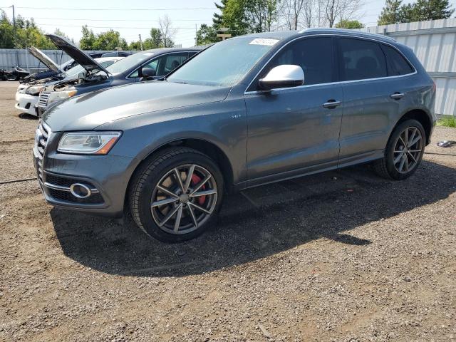 AUDI SQ5 TECHNI 2016 with VIN WA1LCAFP3GA081458 - Photo from auction
