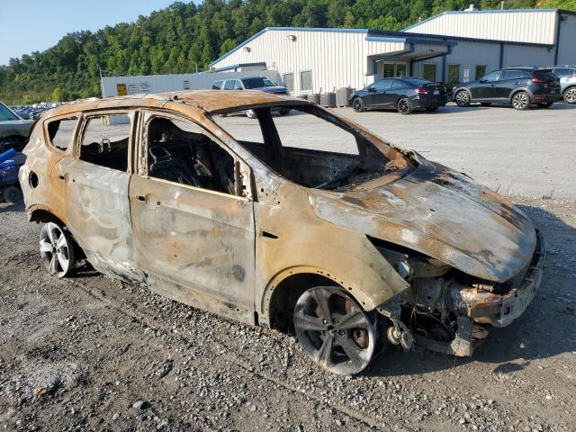 Photo 4 from auction – 2013 FORD ESCAPE SE with VIN 1FMCU9G98DUB85354