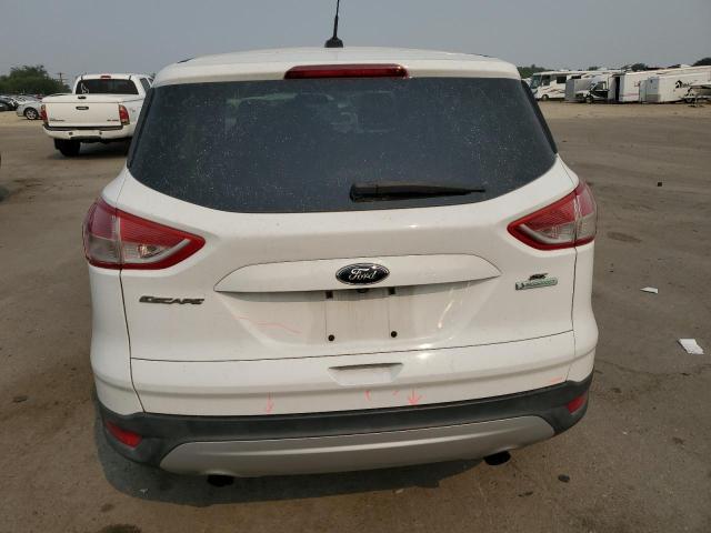 Photo 6 from auction – 2014 FORD ESCAPE SE with VIN 1FMCU0G9XEUC60231
