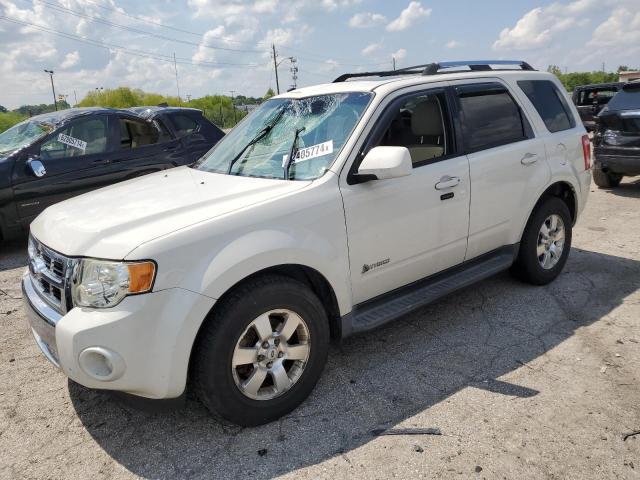 FORD ESCAPE HYB 2009 with VIN 1FMCU59359KB14505 - Photo from auction