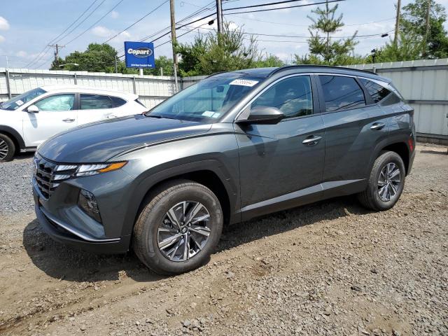 HYUNDAI TUCSON BLU 2024 with VIN KM8JBCD17RU206811 - Photo from auction