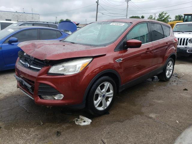 FORD ESCAPE SE 2014 with VIN 1FMCU0GXXEUE07923 - Photo from auction