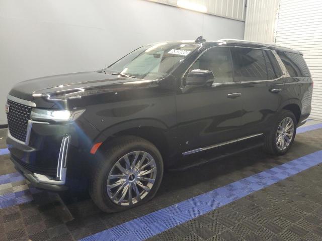 CADILLAC ESCALADE P 2024 with VIN 1GYS3BKL2RR275665 - Photo from auction