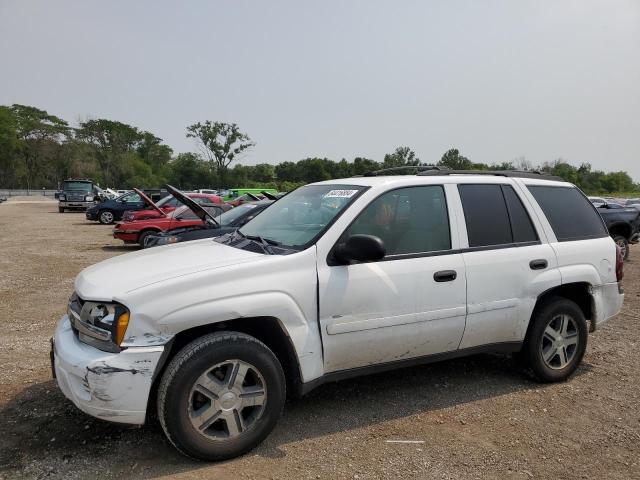 CHEVROLET TRAILBLAZE 2006 with VIN 1GNDT13S662334811 - Photo from auction