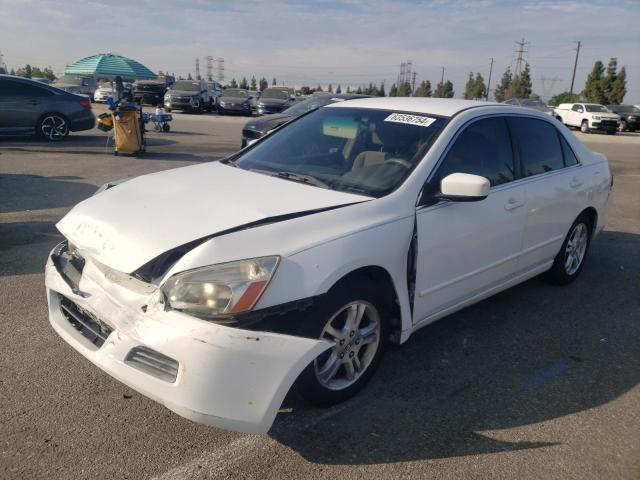 HONDA ACCORD SE 2007 with VIN JHMCM56347C005810 - Photo from auction
