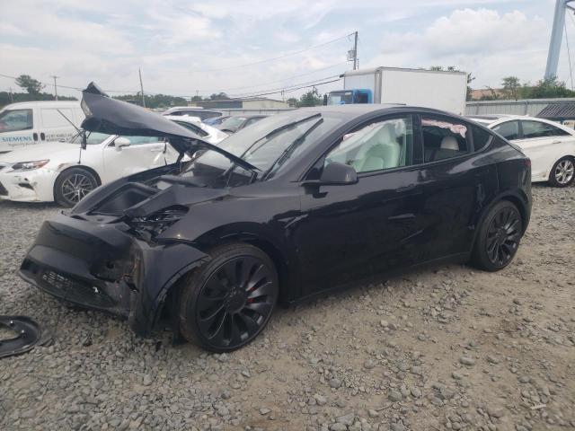 TESLA MODEL Y 2024 with VIN 7SAYGDEF4RA295489 - Photo from auction