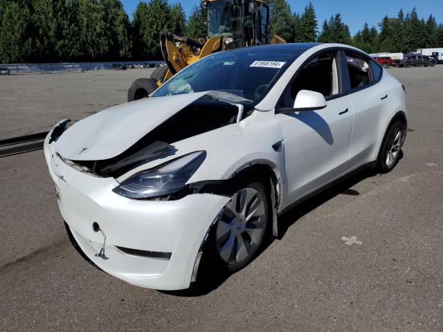 TESLA MODEL Y 2022 with VIN 7SAYGDEE1NF542956 - Photo from auction