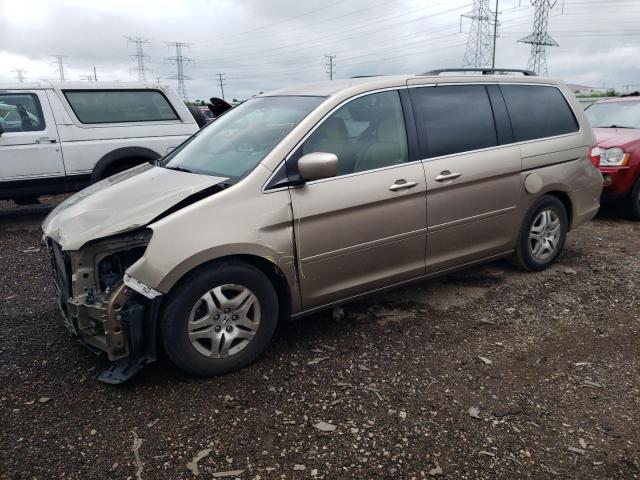 HONDA ODYSSEY EX 2005 with VIN 5FNRL38415B023724 - Photo from auction