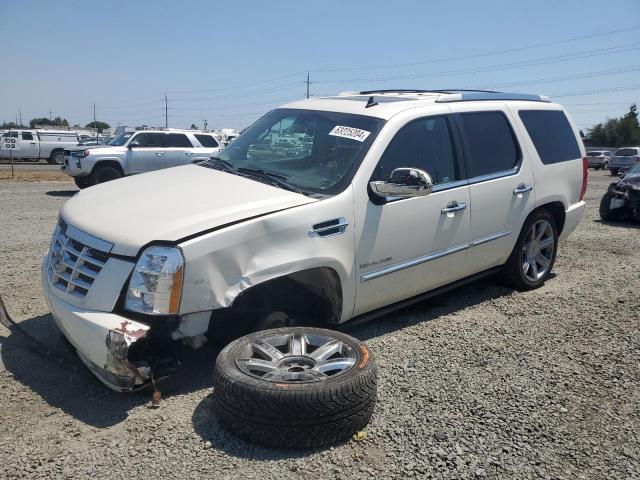 CADILLAC ESCALADE P 2010 with VIN 1GYUKCEF1AR228719 - Photo from auction