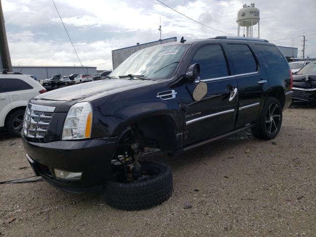 CADILLAC ESCALADE P 2011 with VIN 1GYS4CEF2BR341579 - Photo from auction