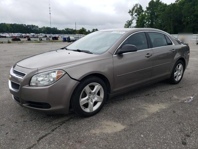 CHEVROLET MALIBU LS 2012 with VIN 1G1ZB5E0XCF183750 - Photo from auction