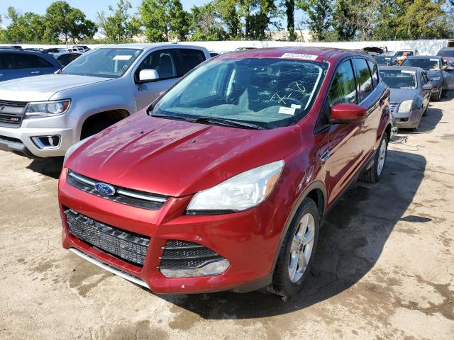 FORD ESCAPE SE 2014 with VIN 1FMCU0GX8EUD71181 - Photo from auction