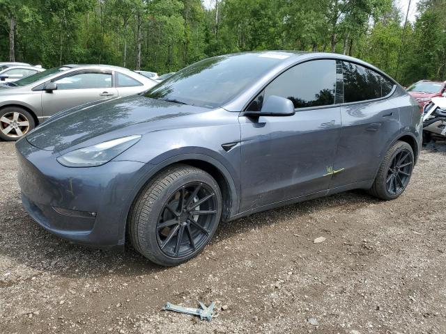 TESLA MODEL Y 2022 with VIN 7SAYGDEEXNF522169 - Photo from auction