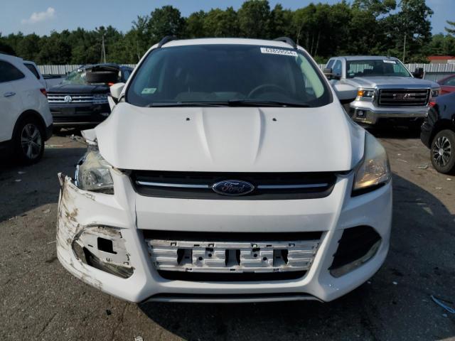 Photo 5 from auction – 2014 FORD ESCAPE SE with VIN 1FMCU9G95EUD67479