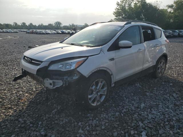 FORD ESCAPE SE 2013 with VIN 1FMCU0GX0DUD10017 - Photo from auction