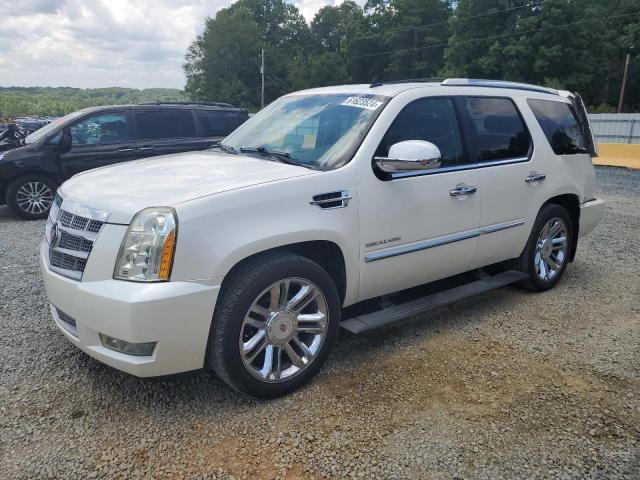CADILLAC ESCALADE P 2010 with VIN 1GYUCDEF3AR284275 - Photo from auction