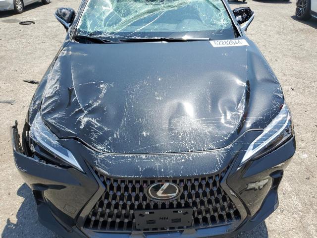 Photo 12 from auction – 2024 LEXUS NX 250 BAS with VIN 2T2ADCAZXRC014722