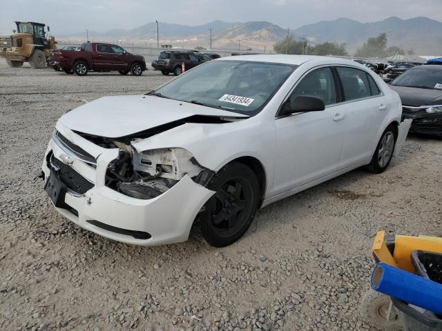 CHEVROLET MALIBU LS 2012 with VIN 1G1ZA5E0XCF210934 - Photo from auction